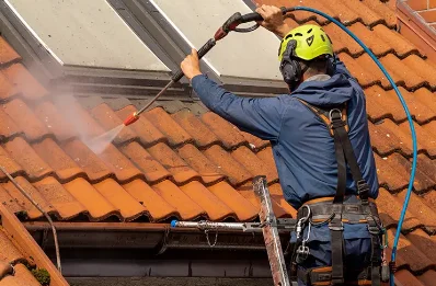 Démoussage et hydrofuge de toiture à Lesbois